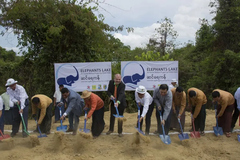 elefant lake myanmar stichting vier voeters