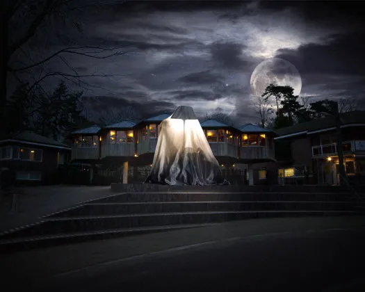 emt9sn6v9rnzmi3rtm872w352 223701