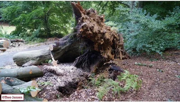 enkkquw09shdtwy2ie1ckuvj2 boom