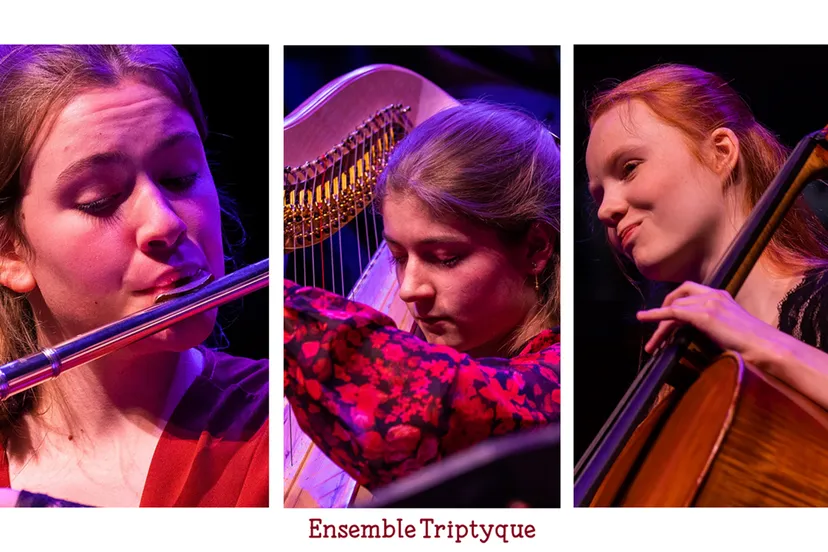 ensemble triptyque ger wijtsma