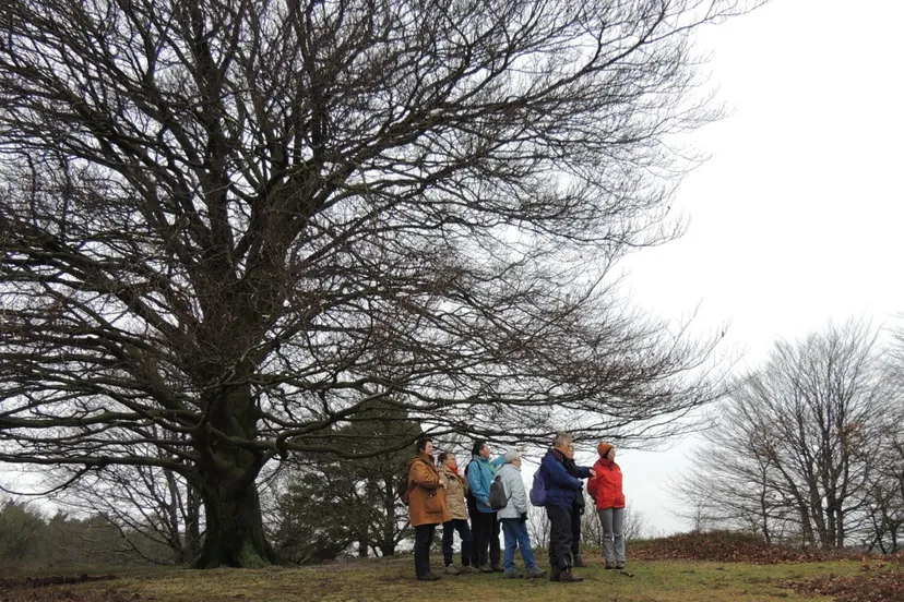 eutz2isen0yh4zbiogaxvdr0v decemberwandeling