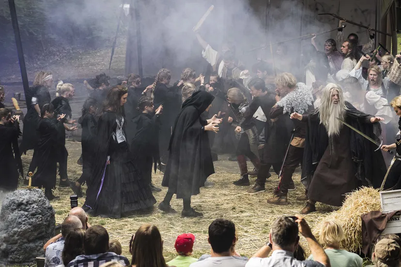 excalibur rhedelijk cultureel