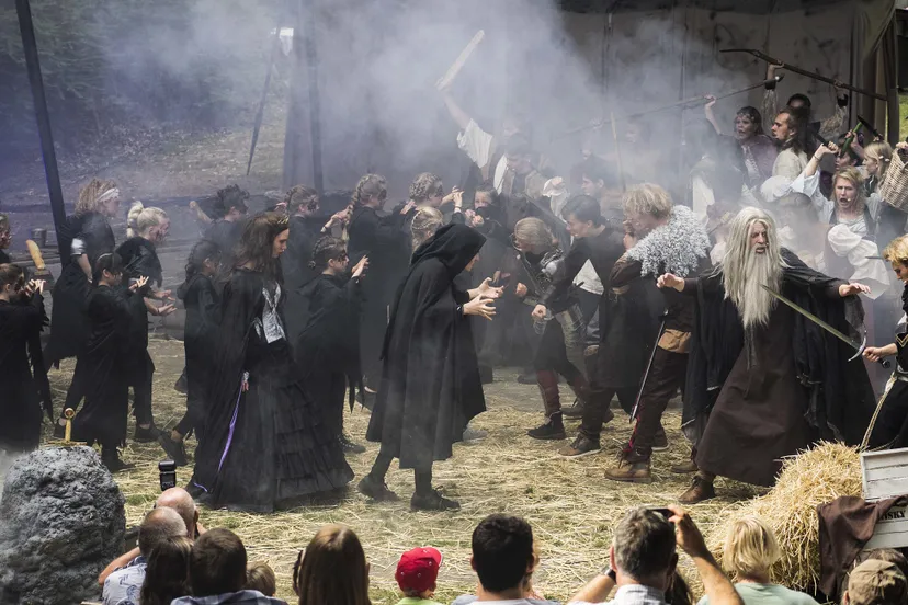 excalibur1 rhedelijk cultureel