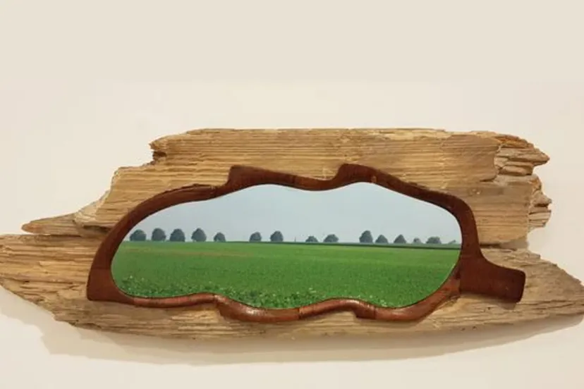 expositie bij de dokter rob chevalier