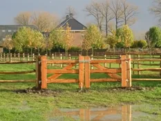 f16o12iithqwapde7wllgwexe 192888