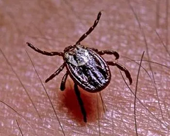 f18a4tiecm2jwn0rcr5aazsfw 155619