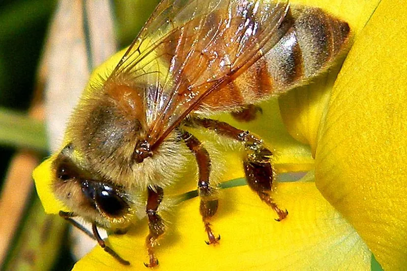 f5jas2lllgut8mewkdapnws8m bijgeloof