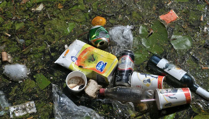 facemepls via fotercom cc by