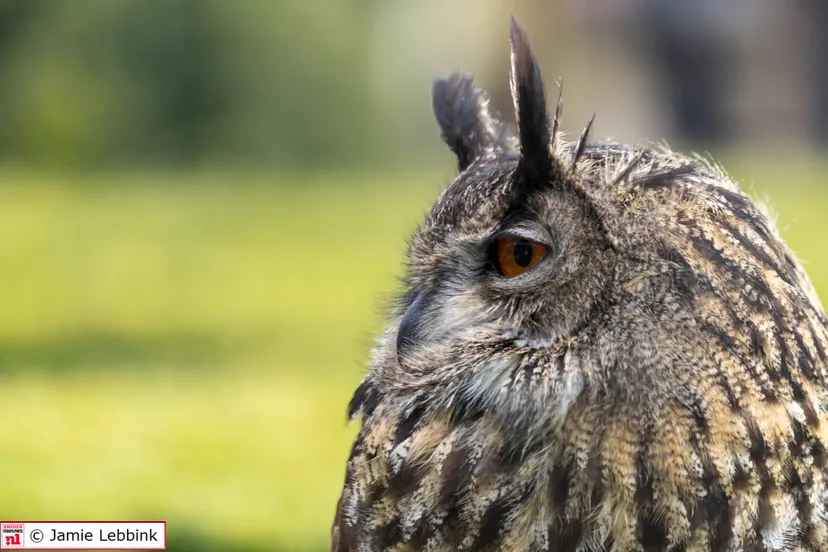 faunadag middachten 2018 03 24 5