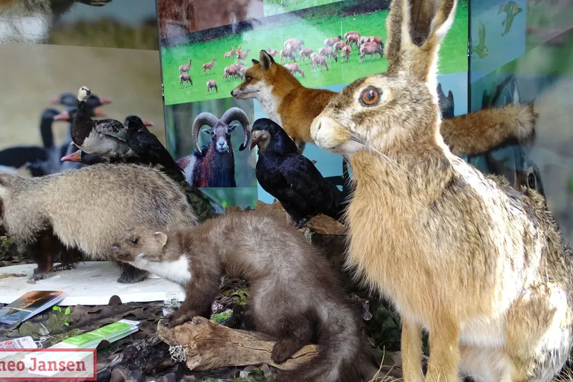 faunadag middachten 2023 16