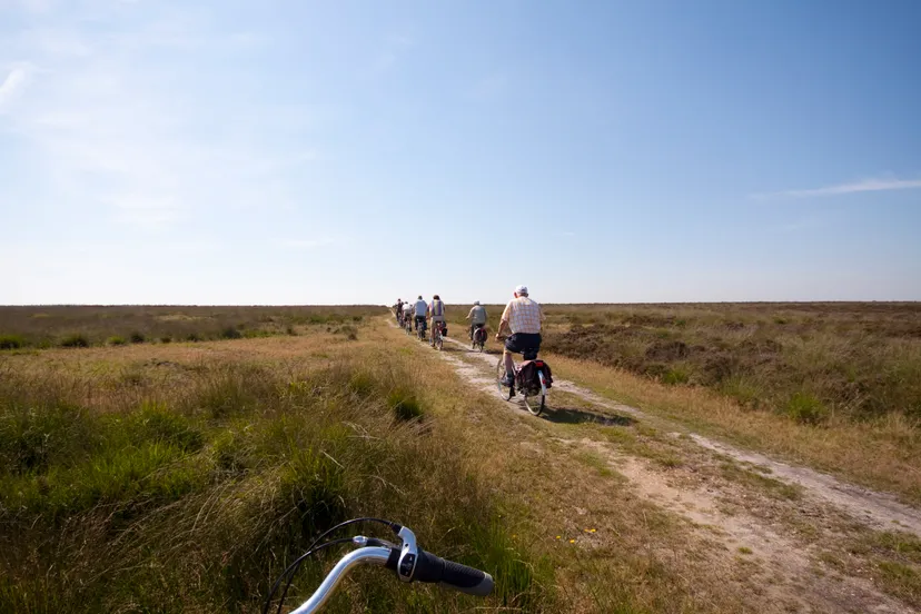 fietstocht posbank foto jennie burgers