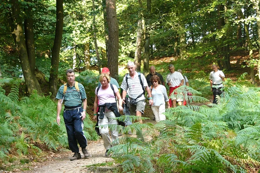 fin361n3g5ugn2fedu8aki8ax 76923