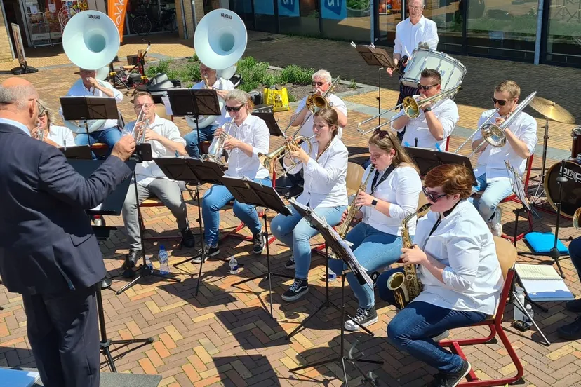 foto gelreband zomer