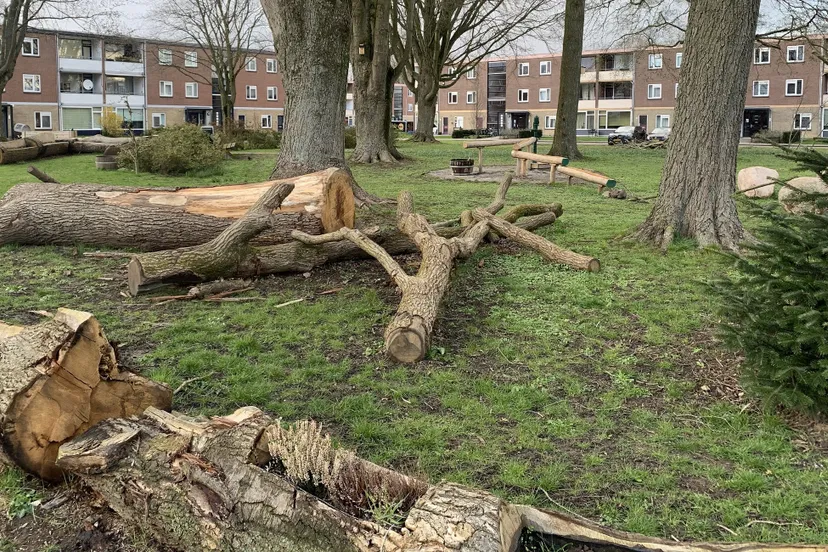 foto speeltuin merel zuiderwijk