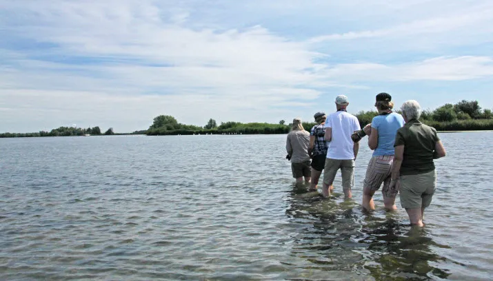foto visie aad van den bosch