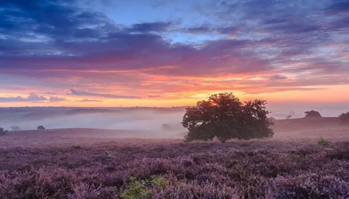 fotowedstrijd gemeente rheden