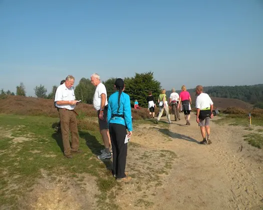 frzp1044bt8uc6w74sju27g3r 119585