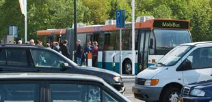 fwyj6ccd8xeaob33yf1a9xufu 145205