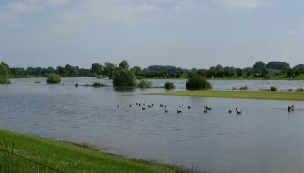 g8hzpi9x25o9ll7m4n9gsa2a6 ivn