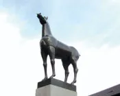 g8jfqa95pqew6v1y2sqnp4kwi paard gobel dieren