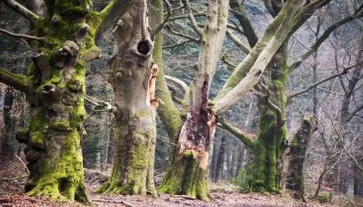 galerie halte de engel fotografen