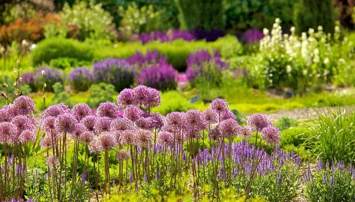 garten der sinne groeibloei