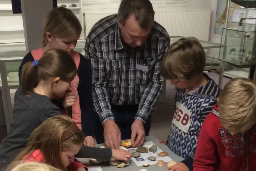 gelders geologiesch museum velp