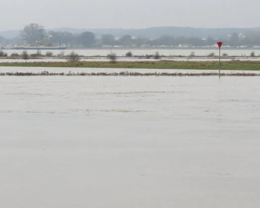 gjblthb5czhff639wmwewp8r6 197738