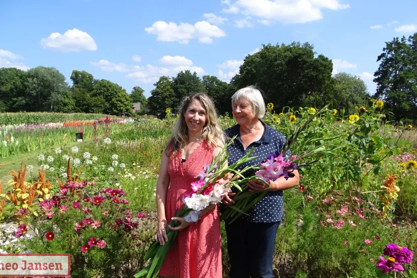 gladiolenfestival 2022 08 14 13