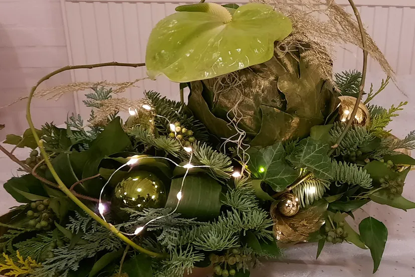 groei en bloei veluwezoom