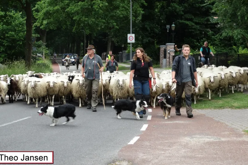 groenestraat 17 6 17 001