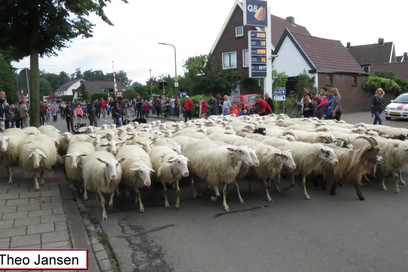 groenestraat 18 6 16 0181