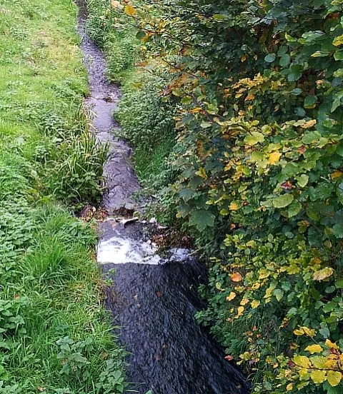 gy1fm3f3zd7dx6tnqj989rw58 94912