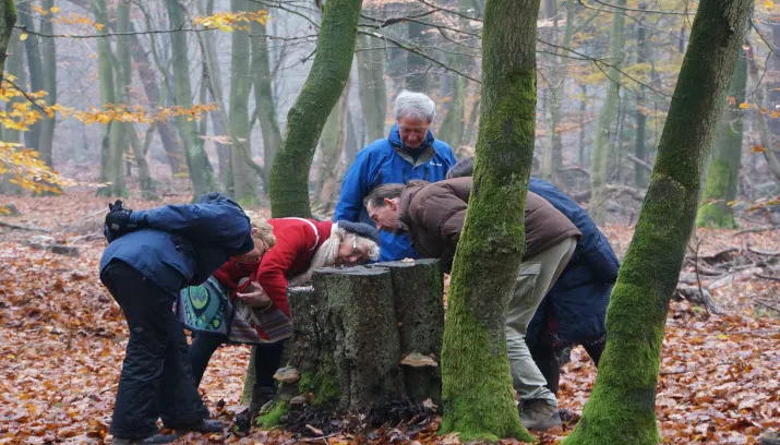 hagenau stiltewandeling