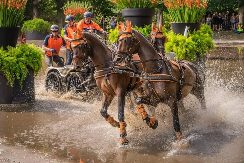 hans heus hans krenger