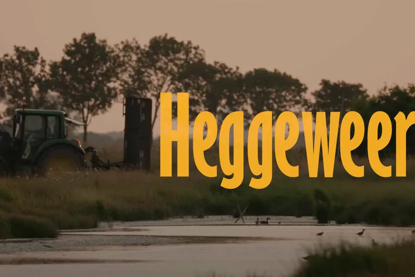 heggeweer erik den doel bram sturm