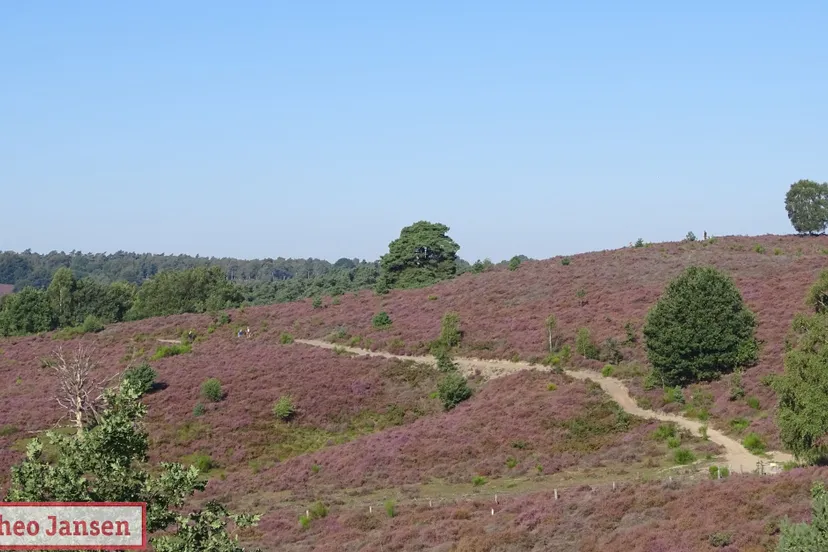 heideschouw gec3abrfden van velp 2019 15 1