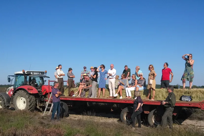 heideschouw gerfden van velp 2019 41