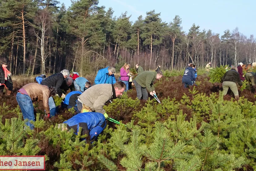 heidewerkdag 2019 13