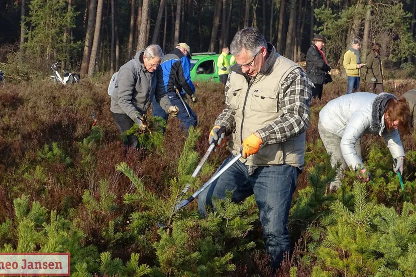 heidewerkdag rhedennieuwsnl