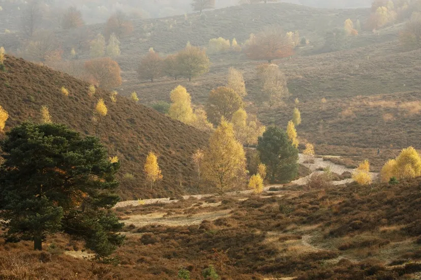 herfst natuurmonumenten