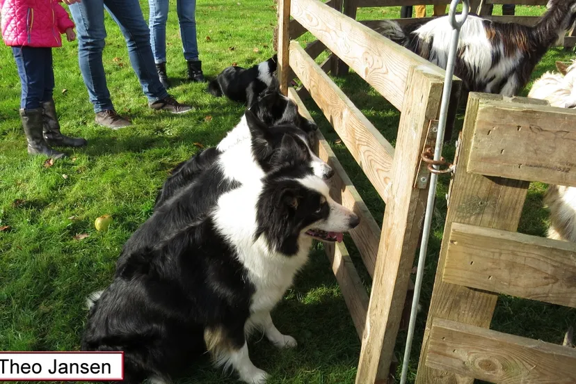 heuvenseweg 25 10 15 022