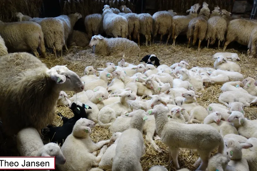 heuvenseweg 25 2 17 005