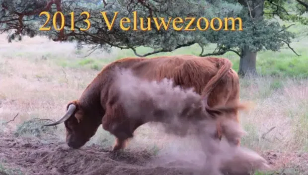 hiice2q4rf2ipw8m7x6jxpfp5 2013 veluwezoom