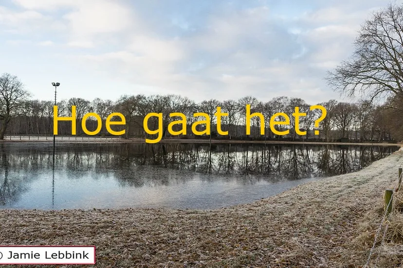 hoe gaat het jamie lebbink