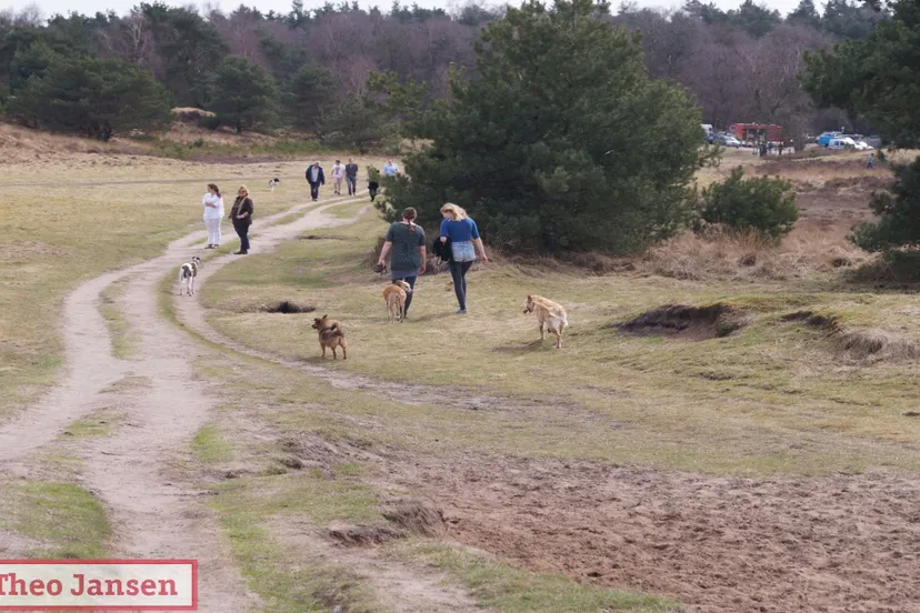hondenlosloopgebied rozendaalse veld1 rhedennieuwsnl