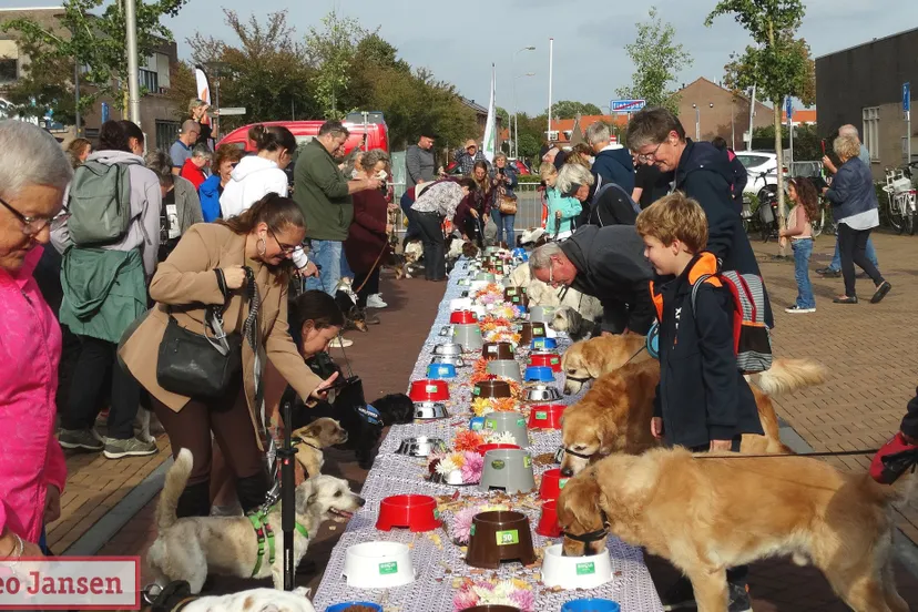 huisdieren kregen weer een heerlijk dierenbuffet aangeboden 2023 1