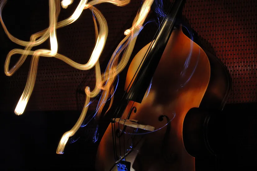 huiskamerconcertjes riqq