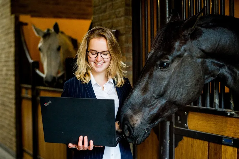 hvhl masterclasses paarden