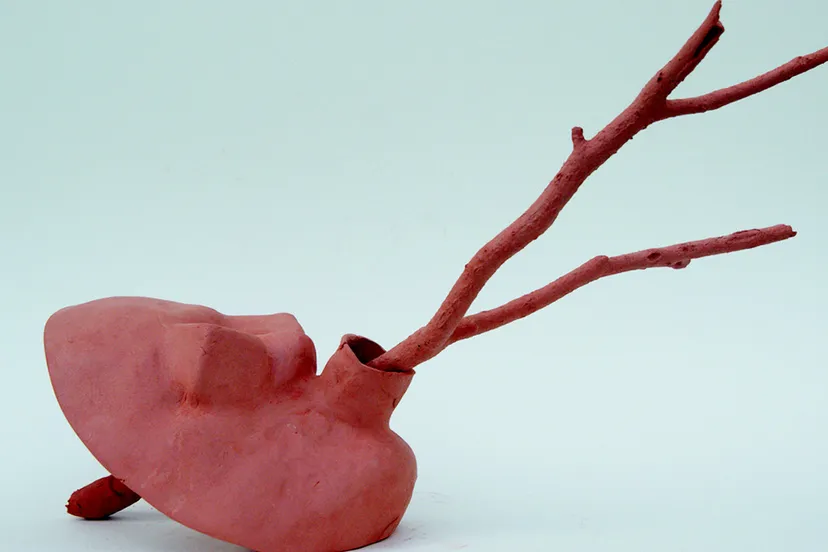 hwy4wctegvzj7cf5tqx6rzyzc afb